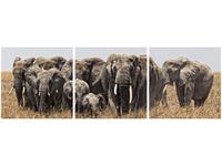 60 90CM OBRAZ 3 ELEM RODZINA SŁONI FEANS ŚCIENNY DRUK PŁÓTNO