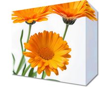 product-compare-59491268