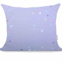 CHP/DUCATO/MODEST/50X60*2