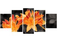 70CM 150CM OBRAZ 5 ELEM SOCZYSTA AZALIA ŚCIENNY