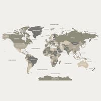 Tapeta Mapa W22 250 cm płótno