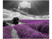 60X50CM LAWENDA OBRAZ ŚCIAN DREWNIANE