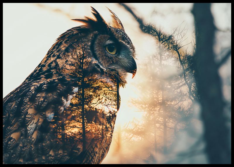 Plakat 84x59,5cm Sowi Duch zdjęcie 2