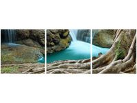 product-compare-58647742