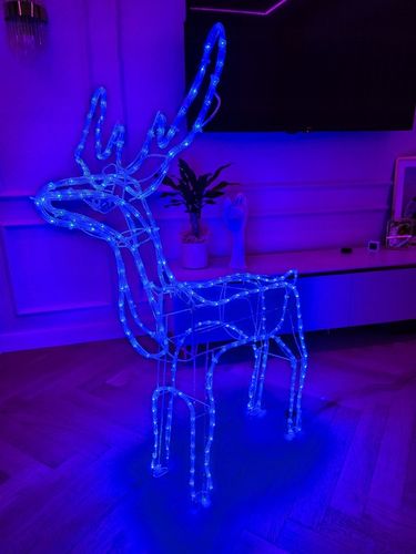 Renifer LED Świąteczny Świecący Figurka Na Zewnątrz XL 85 Duży Niebieski na Arena.pl