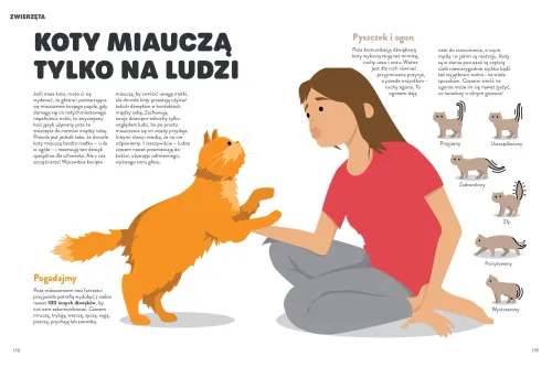 Nie do wiary! na Arena.pl