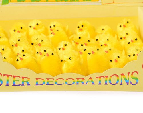 Kurczaki x40 na Arena.pl