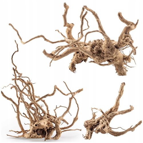KORZEŃ DO AKWARIUM Red Moor Wood M 30cm OKAZY PREMIUM na Arena.pl