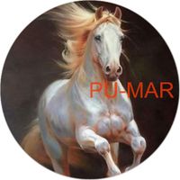 Opłatek na tort KONIE Koń Mustang Konik Kuc Urodziny Tekst Gratis