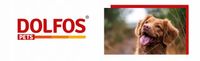 DOLFOS DOLVIT JUNIOR 1 kg proszek dla szczeniąt