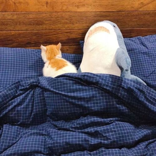 blahaj Duży rekin pluszak 100 cm Przytulanka na Arena.pl