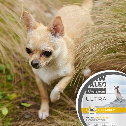 RAW PALEO ULTRA TURKEY ADULT MINI 2kg-sucha karma indyk dla psów ras małych na Arena.pl