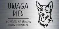 Tabliczka laminat 20x10 cm UWAGA PIES Austaralian Cattle dog Z GRAWEREM