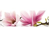 product-compare-58707394