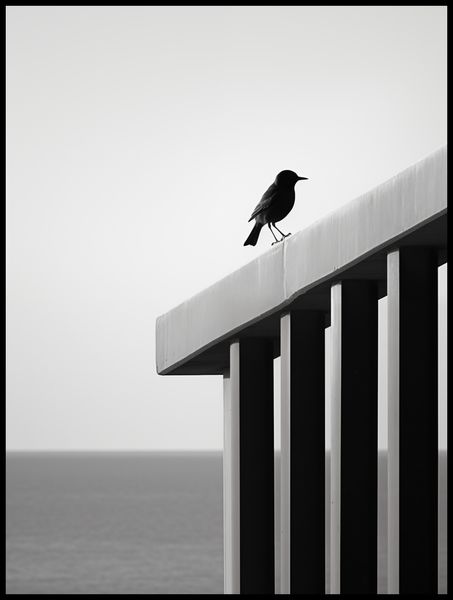 Plakat 75x100cm Samotna Odchłań zdjęcie 2