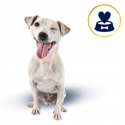 SUCHA KARMA DLA PSA POLARIS ADULT BEZ ZBÓŻ WOŁOWINA INDYK 12KG ŚWIEŻE MIĘSO na Arena.pl