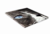 SZKLANA DESKA KUCHENNA 30x30 470f Ojos azules