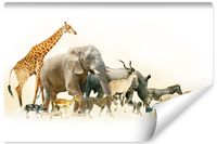 product-compare-55826911