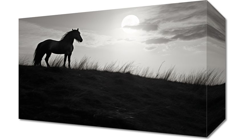 Obraz 30x20cm Księżycowa Straż zdjęcie 1