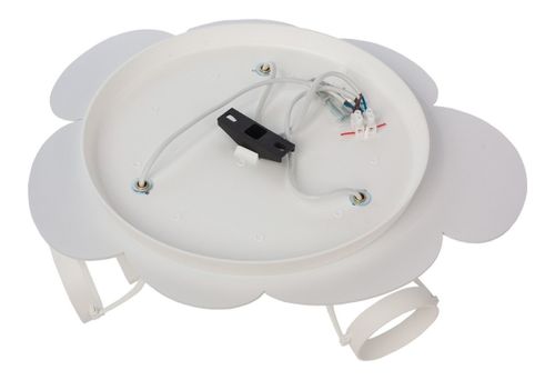 Płatek 5244409 na Arena.pl