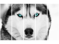 product-compare-58702864