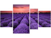 OBRAZ LAWENDOWY GAJ SUNSET