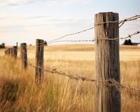 Plakat 50x40cm Płot na Polu