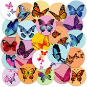 NAKLEJKI NA ZESZYT NALEPKA Z POSTACIAMI KÓŁKO MOTYLE MOTYL WZORY 23EL