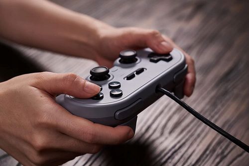 Kontroler 8BITDO Pro 2 Wired Gamepad Szary na Arena.pl