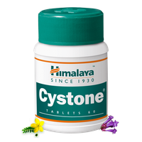 Preparat ziołowy Cystone Himalaya 60 tabletek