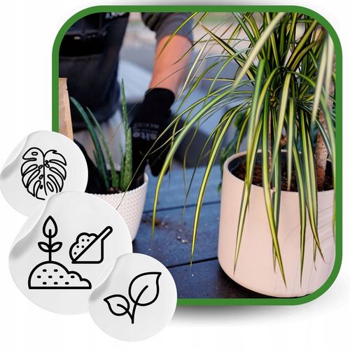 Ziemia do Kwiatów Podłoże do Monstery palm 20L Bio Bigos Lekkie na Arena.pl