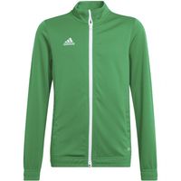 Bluza adidas Entrada 22 Track Jacket Jr HI2138 116cm