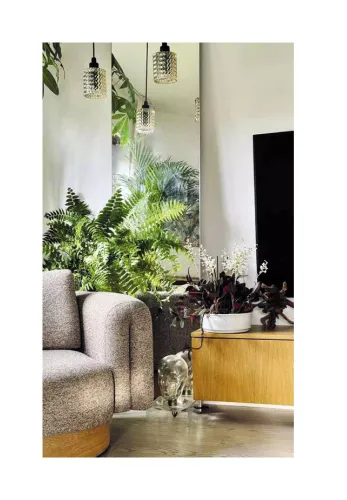 Roślinne Historie na Arena.pl