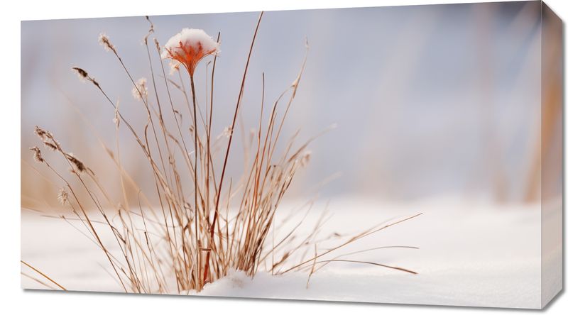 Obraz 70x40cm Zima w Detalach zdjęcie 1