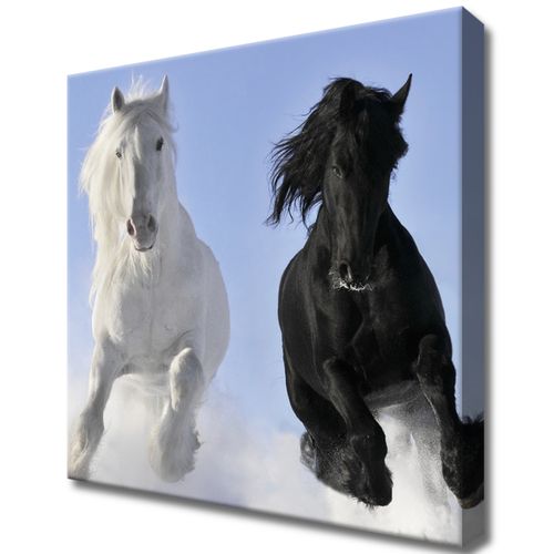 Obraz Drukowany 30X30 Black And White na Arena.pl