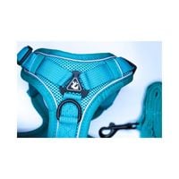Szelki Guard dla małych psów + smycz, rozmiar mini L, turkusowe