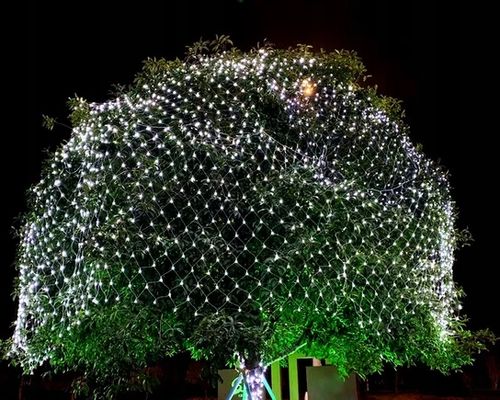 Siatka LED BIAŁA ZIMNA LAMPKI choinkowe KURTYNA 2,5x2,5m 230V na Arena.pl