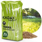 TRAWA UNIWERSALNA SZYBKO ZAGĘSZCZAJĄCA 5KG 200m2