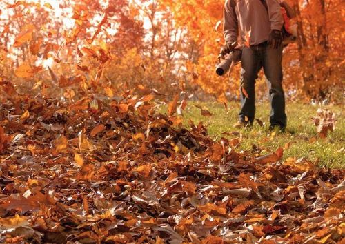 DMUCHAWA SPALINOWA OGRODOWA ODKURZACZ DO LIŚCI ŚNIEGU na Arena.pl