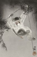 Plakat 30x45cm Monkey, Koson Japoński Vintage do Salonu
