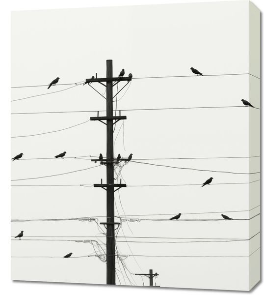 Obraz 60x70cm Symfonia na Drutach zdjęcie 1