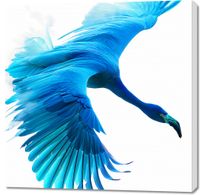 Obraz 100x100cm Błękitny Lot