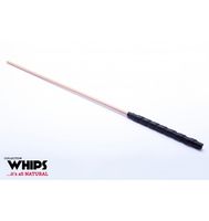 trzcinka bukowa whips