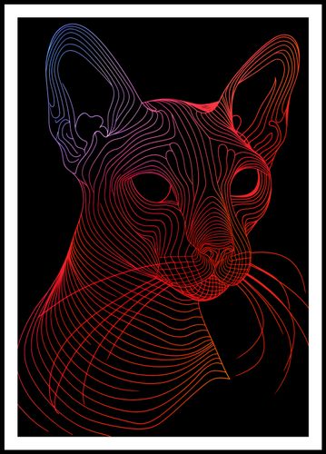 Plakat 68x98cm Cyfrowa Kocica na Arena.pl