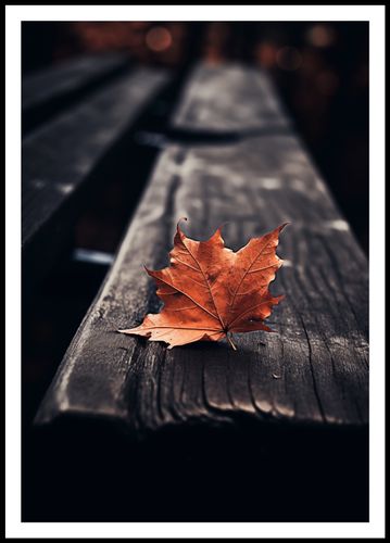 Plakat 68x98cm Pojedynczy Liść na Arena.pl