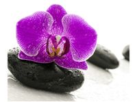 60X50CM STORCZYK KAMIENIU OBRAZ ŚCIAN DREWNIANE