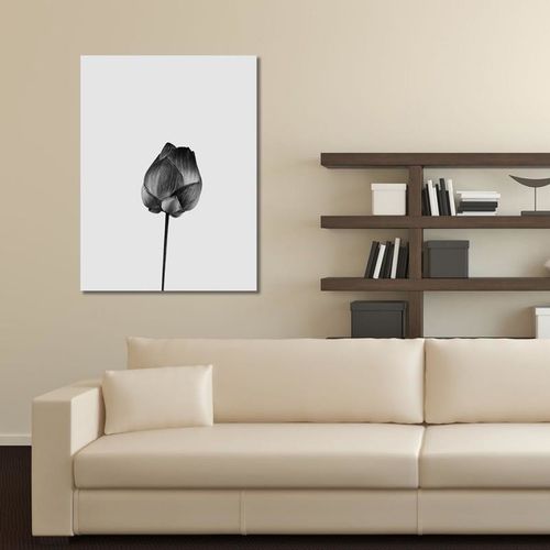 Obraz na płótnie - Canvas, Pojedynczy kwiat 60x80 na Arena.pl