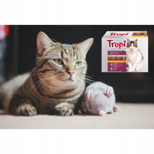 Mokra Karma dla kota Tropi mix smaków 100 g x 48szt. DUŻY PAKIET Mega Box na Arena.pl