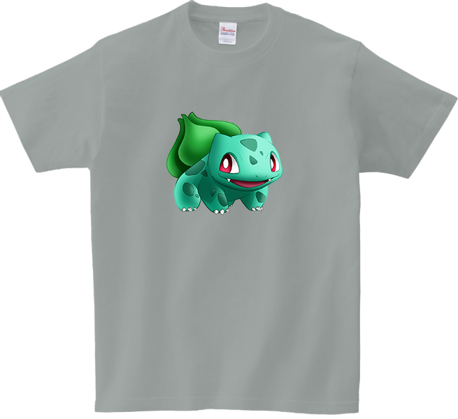Koszulka T-shirt Pokemon zdjęcie 1