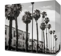 Obraz 30x30cm Spacer w Cieniu Palm